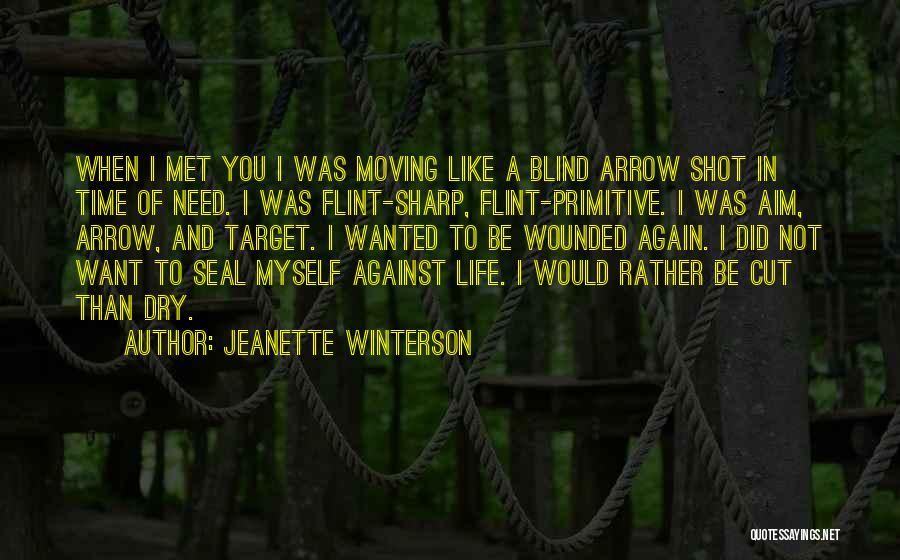 Jeanette Winterson Quotes: When I Met You I Was Moving Like A Blind Arrow Shot In Time Of Need. I Was Flint-sharp, Flint-primitive.