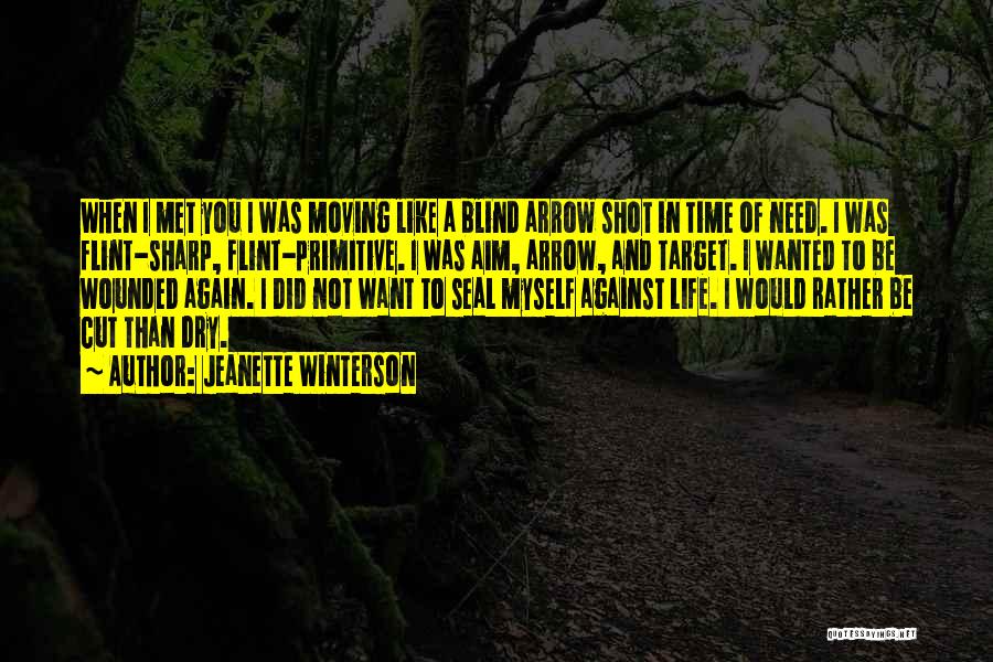 Jeanette Winterson Quotes: When I Met You I Was Moving Like A Blind Arrow Shot In Time Of Need. I Was Flint-sharp, Flint-primitive.