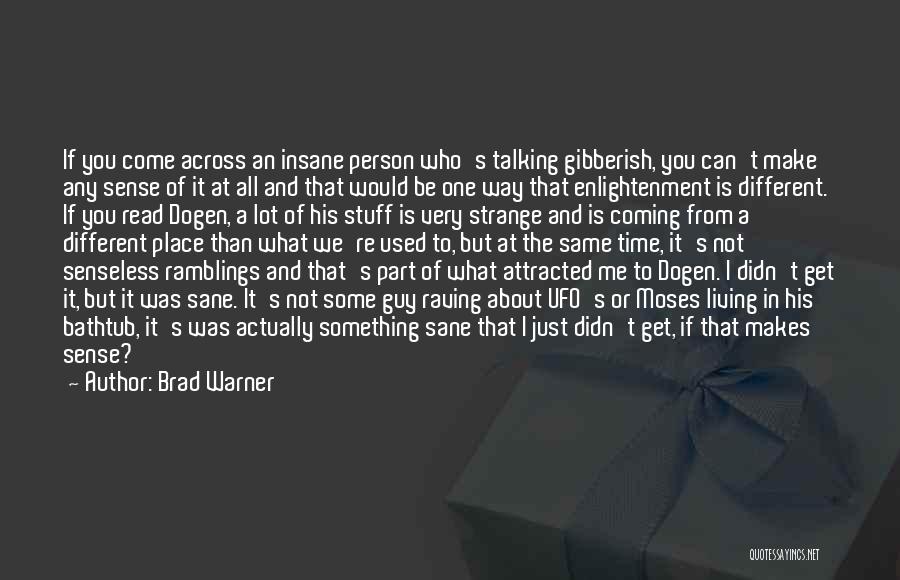 Brad Warner Quotes: If You Come Across An Insane Person Who's Talking Gibberish, You Can't Make Any Sense Of It At All And