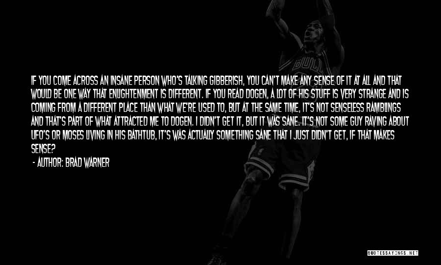 Brad Warner Quotes: If You Come Across An Insane Person Who's Talking Gibberish, You Can't Make Any Sense Of It At All And