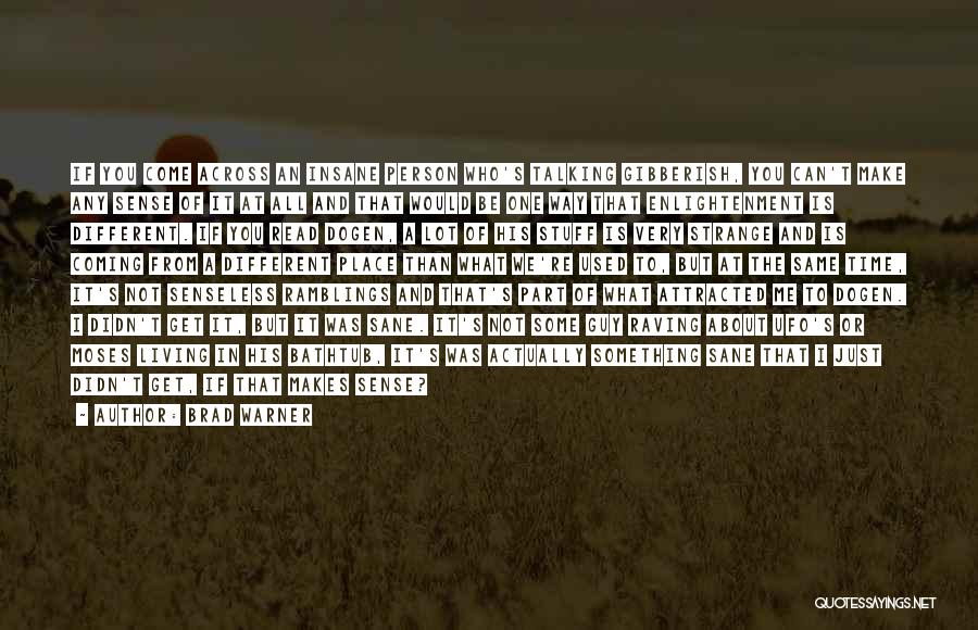 Brad Warner Quotes: If You Come Across An Insane Person Who's Talking Gibberish, You Can't Make Any Sense Of It At All And