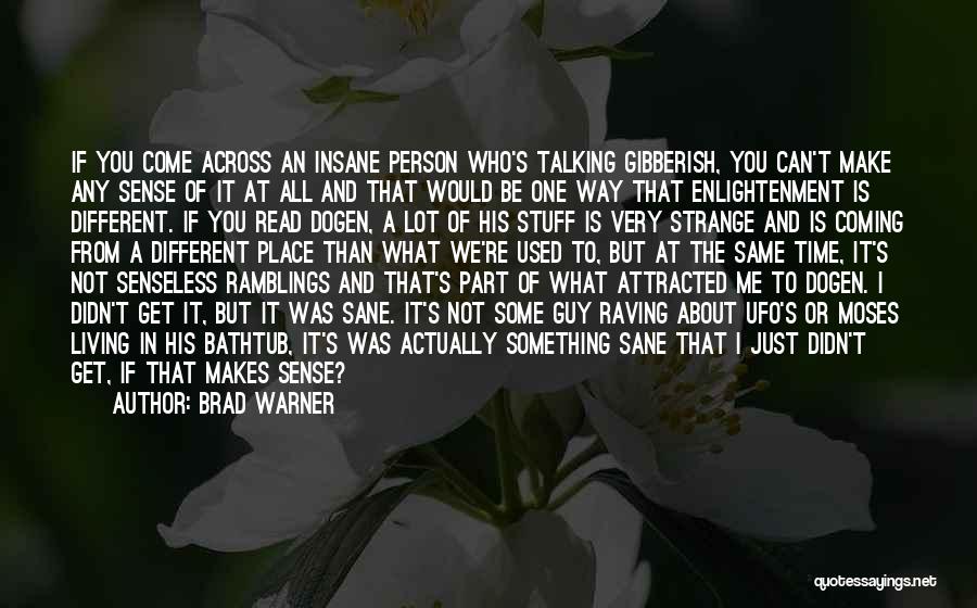 Brad Warner Quotes: If You Come Across An Insane Person Who's Talking Gibberish, You Can't Make Any Sense Of It At All And