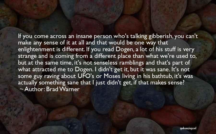 Brad Warner Quotes: If You Come Across An Insane Person Who's Talking Gibberish, You Can't Make Any Sense Of It At All And