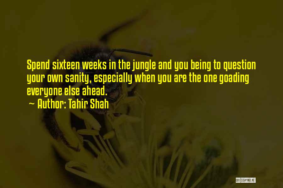 Tahir Shah Quotes: Spend Sixteen Weeks In The Jungle And You Being To Question Your Own Sanity, Especially When You Are The One