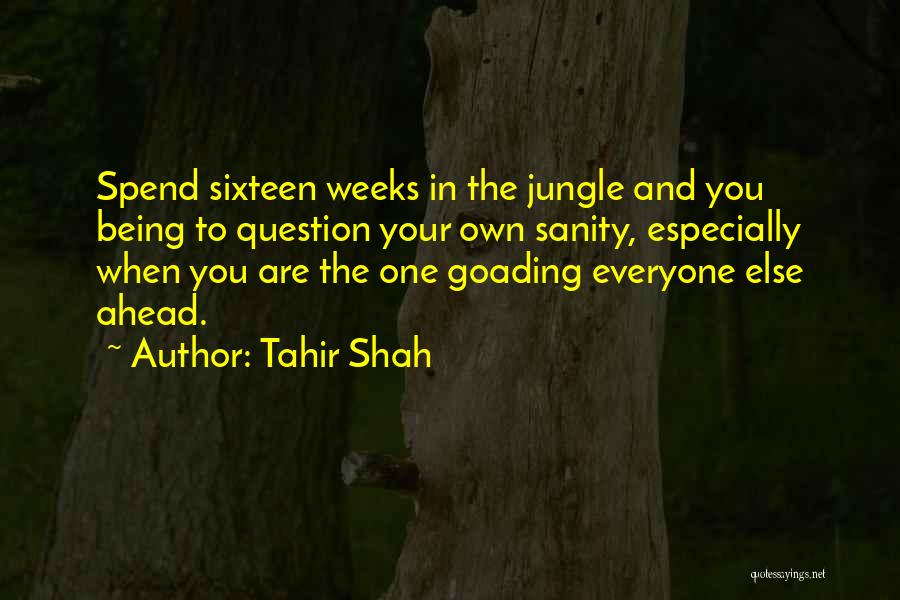 Tahir Shah Quotes: Spend Sixteen Weeks In The Jungle And You Being To Question Your Own Sanity, Especially When You Are The One