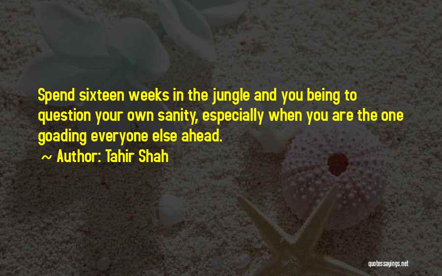 Tahir Shah Quotes: Spend Sixteen Weeks In The Jungle And You Being To Question Your Own Sanity, Especially When You Are The One