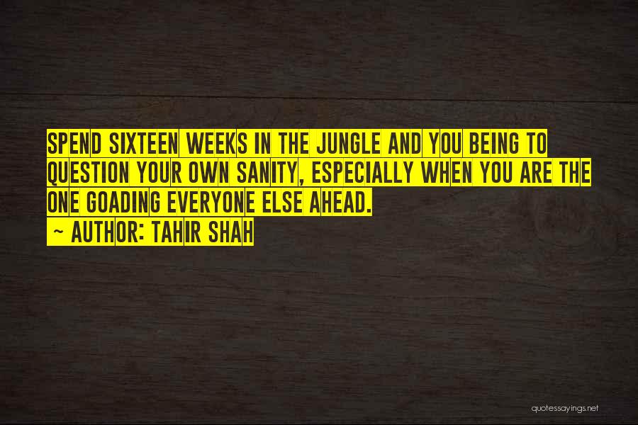 Tahir Shah Quotes: Spend Sixteen Weeks In The Jungle And You Being To Question Your Own Sanity, Especially When You Are The One