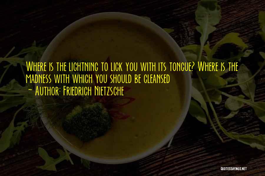 Friedrich Nietzsche Quotes: Where Is The Lightning To Lick You With Its Tongue? Where Is The Madness With Which You Should Be Cleansed