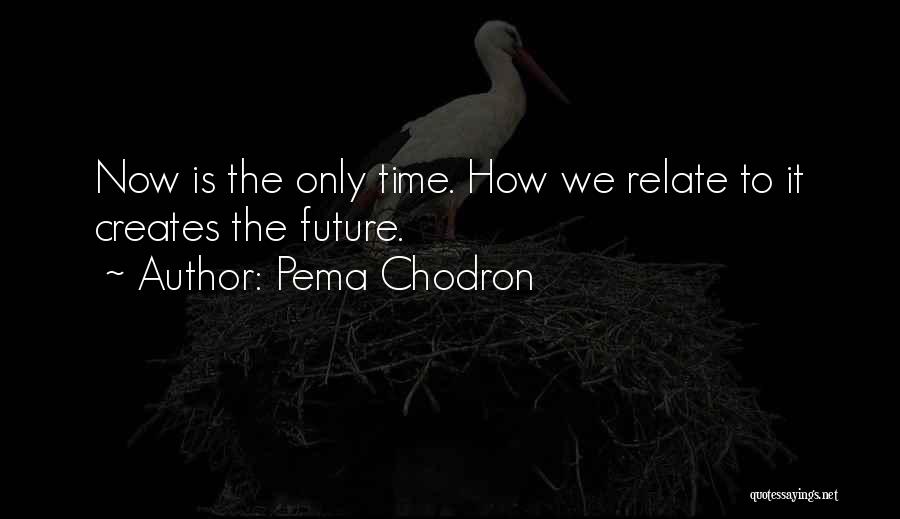 Pema Chodron Quotes: Now Is The Only Time. How We Relate To It Creates The Future.