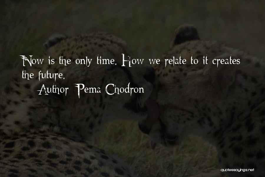 Pema Chodron Quotes: Now Is The Only Time. How We Relate To It Creates The Future.