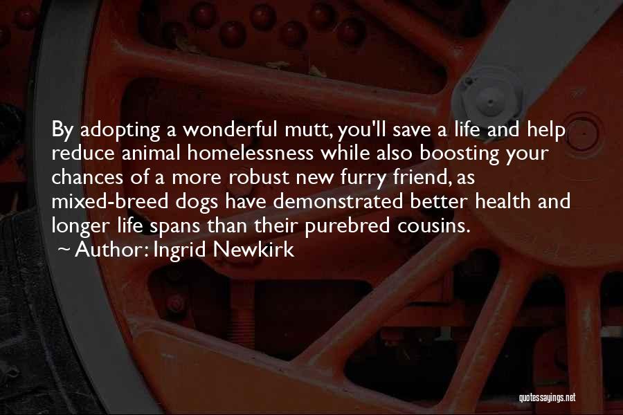 Ingrid Newkirk Quotes: By Adopting A Wonderful Mutt, You'll Save A Life And Help Reduce Animal Homelessness While Also Boosting Your Chances Of