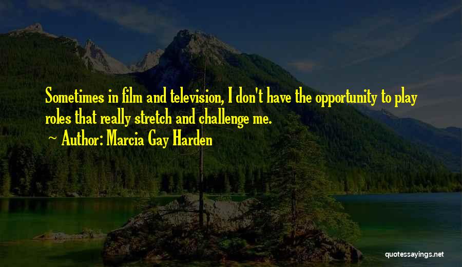 Marcia Gay Harden Quotes: Sometimes In Film And Television, I Don't Have The Opportunity To Play Roles That Really Stretch And Challenge Me.