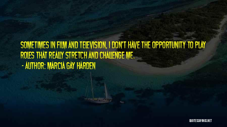 Marcia Gay Harden Quotes: Sometimes In Film And Television, I Don't Have The Opportunity To Play Roles That Really Stretch And Challenge Me.