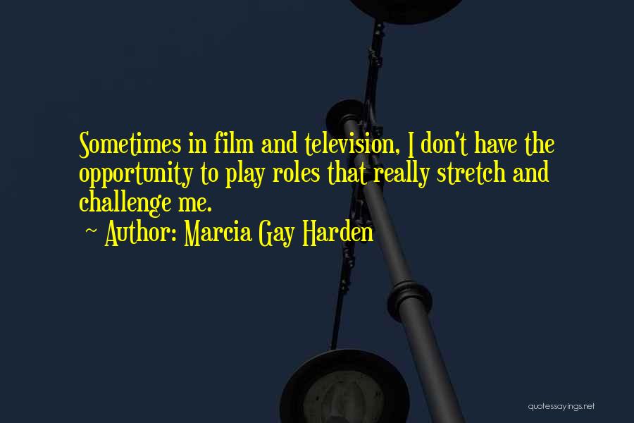 Marcia Gay Harden Quotes: Sometimes In Film And Television, I Don't Have The Opportunity To Play Roles That Really Stretch And Challenge Me.