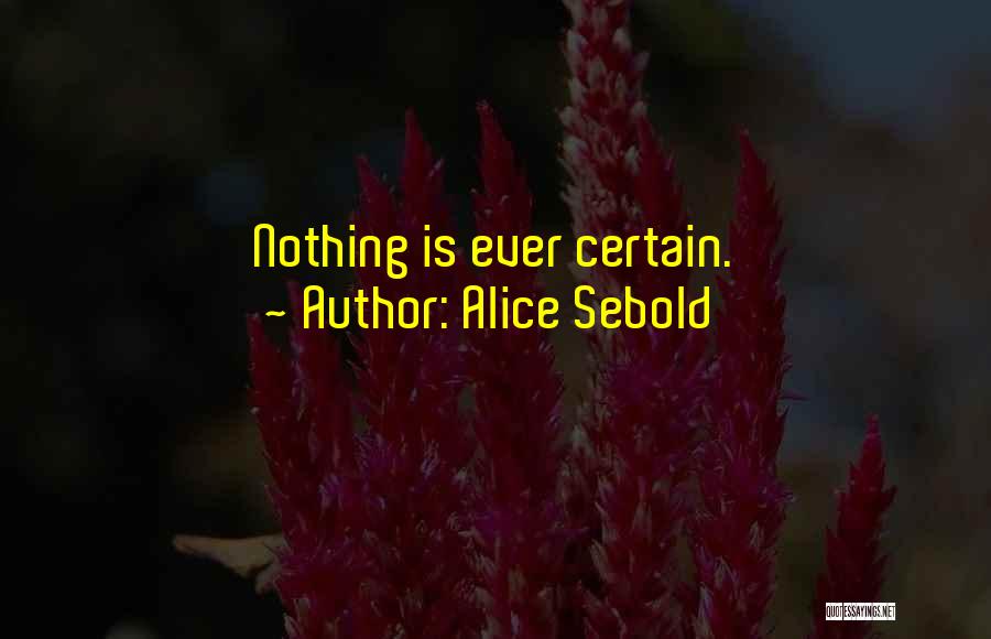 Alice Sebold Quotes: Nothing Is Ever Certain.