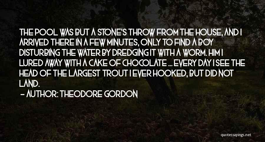 Theodore Gordon Quotes: The Pool Was But A Stone's Throw From The House, And I Arrived There In A Few Minutes, Only To