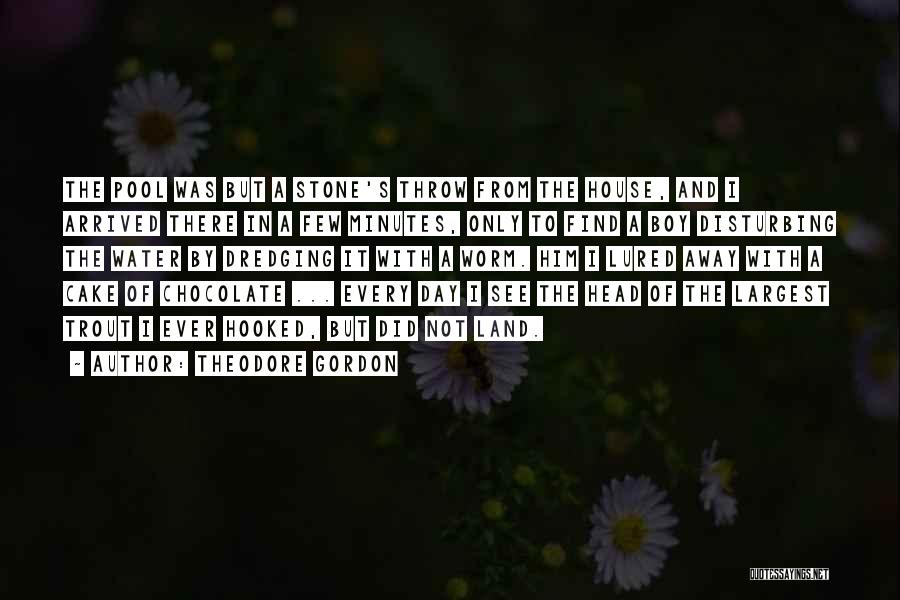 Theodore Gordon Quotes: The Pool Was But A Stone's Throw From The House, And I Arrived There In A Few Minutes, Only To