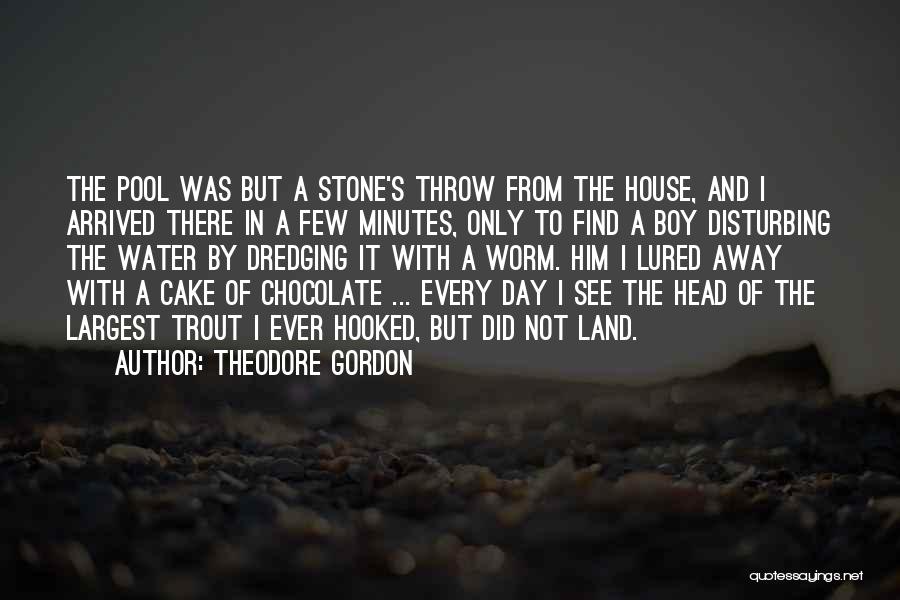 Theodore Gordon Quotes: The Pool Was But A Stone's Throw From The House, And I Arrived There In A Few Minutes, Only To