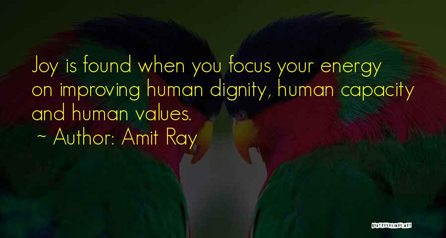 Amit Ray Quotes: Joy Is Found When You Focus Your Energy On Improving Human Dignity, Human Capacity And Human Values.