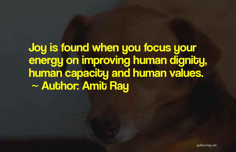 Amit Ray Quotes: Joy Is Found When You Focus Your Energy On Improving Human Dignity, Human Capacity And Human Values.