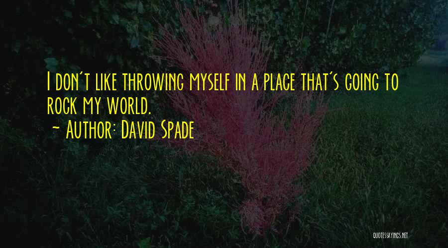 David Spade Quotes: I Don't Like Throwing Myself In A Place That's Going To Rock My World.