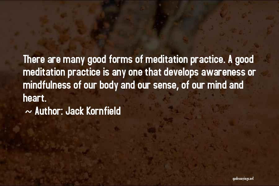 Jack Kornfield Quotes: There Are Many Good Forms Of Meditation Practice. A Good Meditation Practice Is Any One That Develops Awareness Or Mindfulness