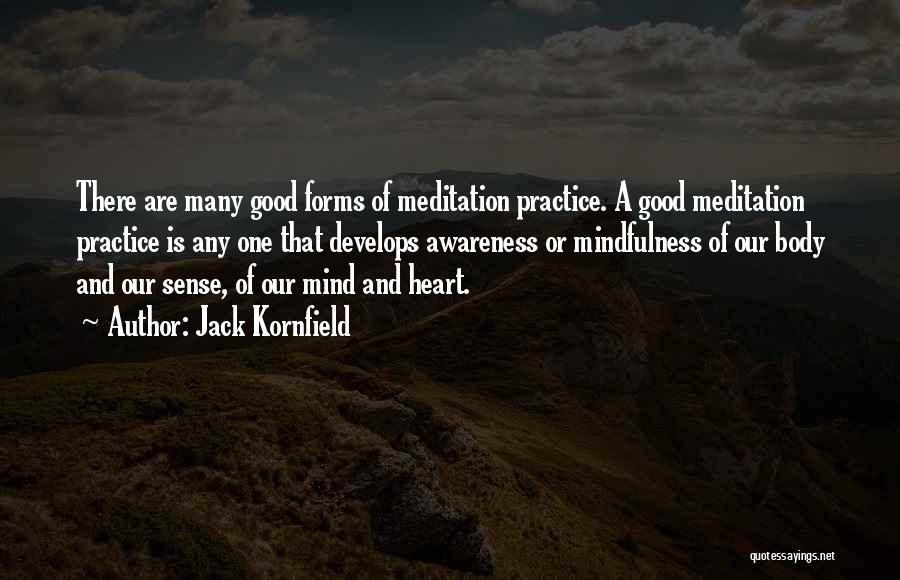Jack Kornfield Quotes: There Are Many Good Forms Of Meditation Practice. A Good Meditation Practice Is Any One That Develops Awareness Or Mindfulness