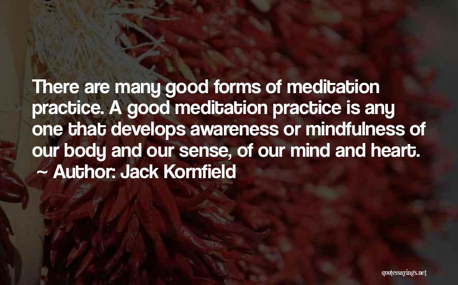 Jack Kornfield Quotes: There Are Many Good Forms Of Meditation Practice. A Good Meditation Practice Is Any One That Develops Awareness Or Mindfulness