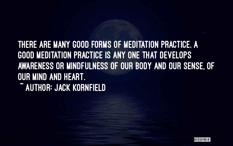 Jack Kornfield Quotes: There Are Many Good Forms Of Meditation Practice. A Good Meditation Practice Is Any One That Develops Awareness Or Mindfulness