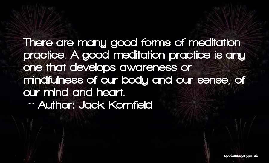 Jack Kornfield Quotes: There Are Many Good Forms Of Meditation Practice. A Good Meditation Practice Is Any One That Develops Awareness Or Mindfulness