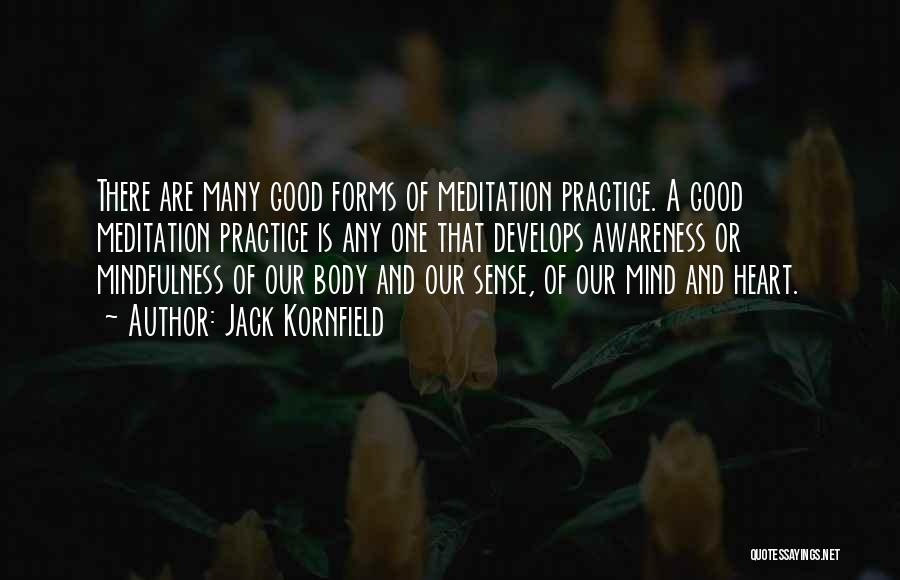 Jack Kornfield Quotes: There Are Many Good Forms Of Meditation Practice. A Good Meditation Practice Is Any One That Develops Awareness Or Mindfulness