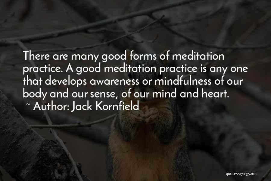 Jack Kornfield Quotes: There Are Many Good Forms Of Meditation Practice. A Good Meditation Practice Is Any One That Develops Awareness Or Mindfulness