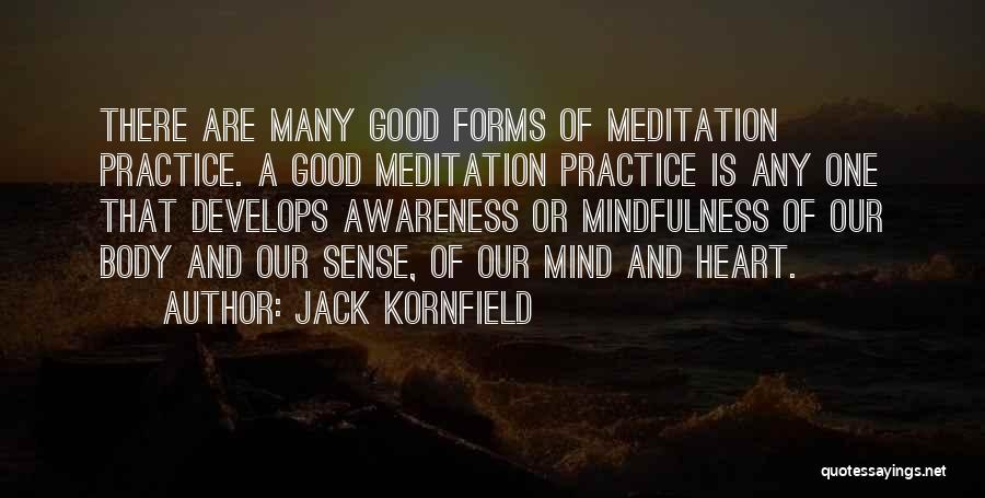 Jack Kornfield Quotes: There Are Many Good Forms Of Meditation Practice. A Good Meditation Practice Is Any One That Develops Awareness Or Mindfulness