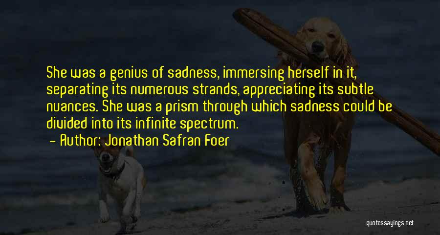 Jonathan Safran Foer Quotes: She Was A Genius Of Sadness, Immersing Herself In It, Separating Its Numerous Strands, Appreciating Its Subtle Nuances. She Was