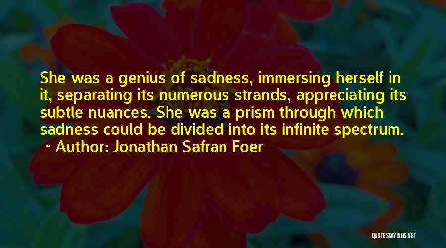 Jonathan Safran Foer Quotes: She Was A Genius Of Sadness, Immersing Herself In It, Separating Its Numerous Strands, Appreciating Its Subtle Nuances. She Was