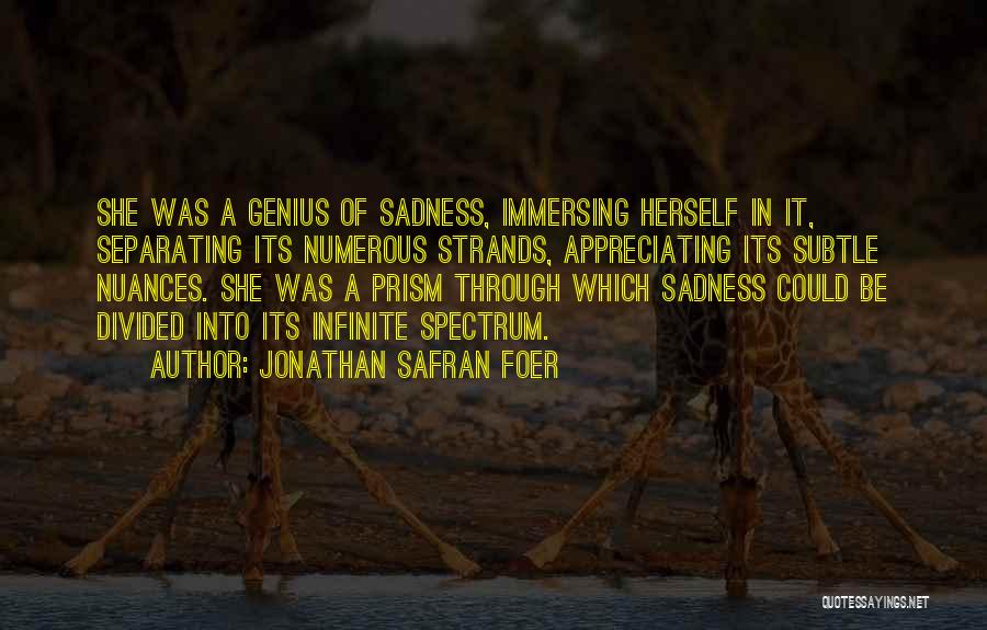 Jonathan Safran Foer Quotes: She Was A Genius Of Sadness, Immersing Herself In It, Separating Its Numerous Strands, Appreciating Its Subtle Nuances. She Was