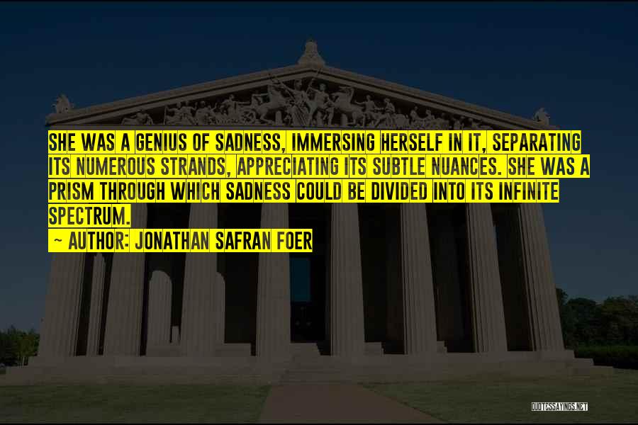 Jonathan Safran Foer Quotes: She Was A Genius Of Sadness, Immersing Herself In It, Separating Its Numerous Strands, Appreciating Its Subtle Nuances. She Was
