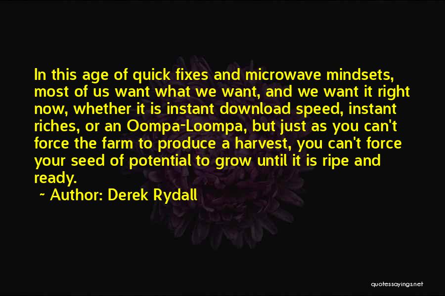 Derek Rydall Quotes: In This Age Of Quick Fixes And Microwave Mindsets, Most Of Us Want What We Want, And We Want It