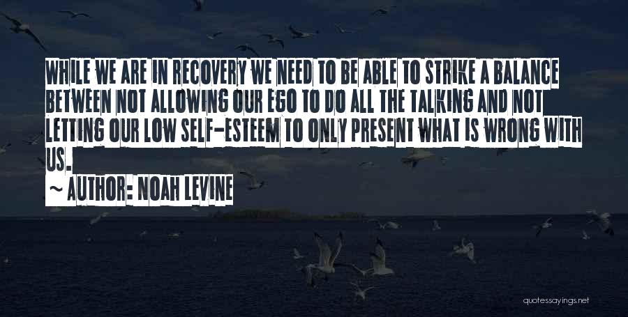 Noah Levine Quotes: While We Are In Recovery We Need To Be Able To Strike A Balance Between Not Allowing Our Ego To