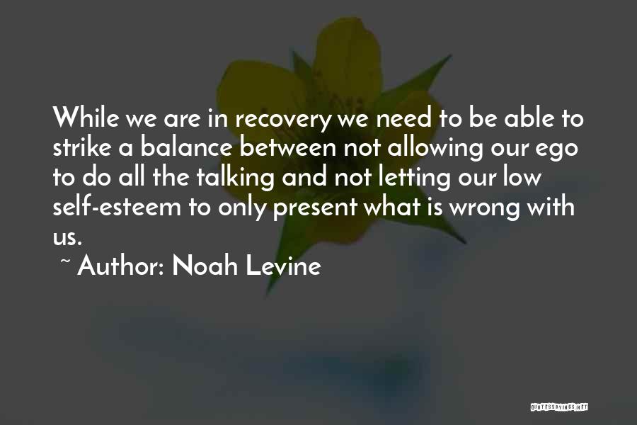 Noah Levine Quotes: While We Are In Recovery We Need To Be Able To Strike A Balance Between Not Allowing Our Ego To