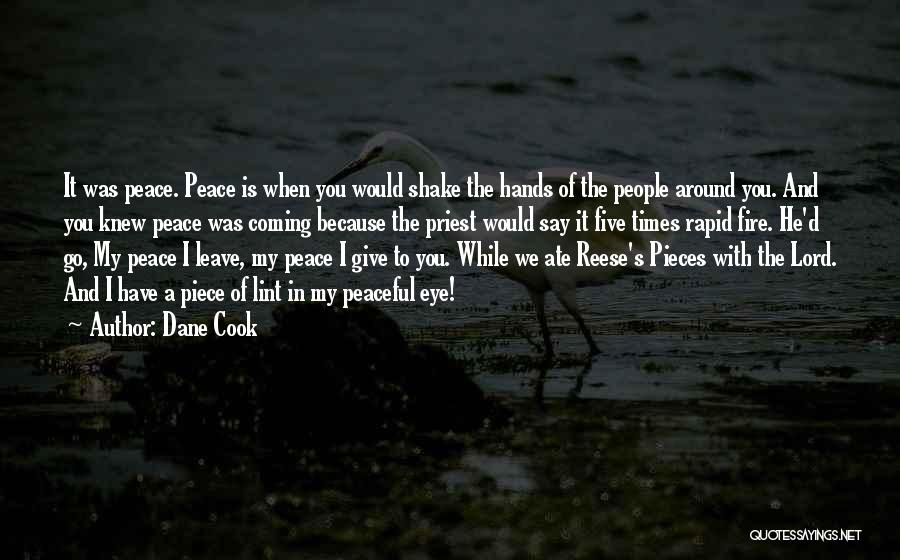 Dane Cook Quotes: It Was Peace. Peace Is When You Would Shake The Hands Of The People Around You. And You Knew Peace