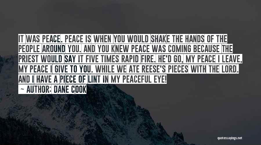 Dane Cook Quotes: It Was Peace. Peace Is When You Would Shake The Hands Of The People Around You. And You Knew Peace