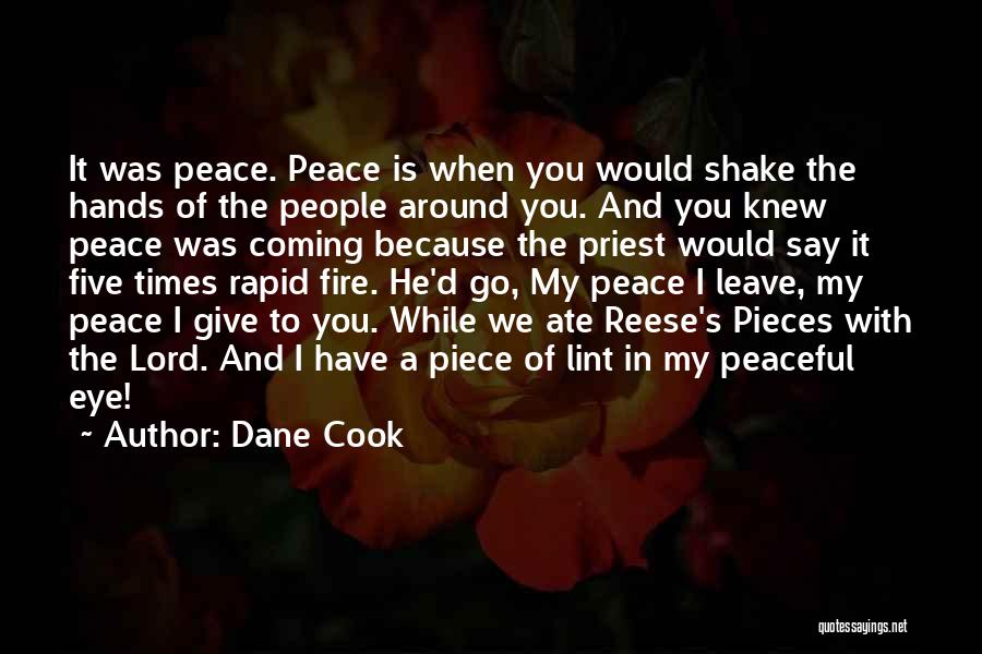 Dane Cook Quotes: It Was Peace. Peace Is When You Would Shake The Hands Of The People Around You. And You Knew Peace