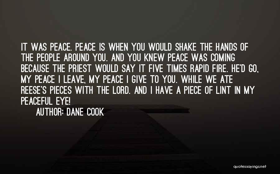 Dane Cook Quotes: It Was Peace. Peace Is When You Would Shake The Hands Of The People Around You. And You Knew Peace