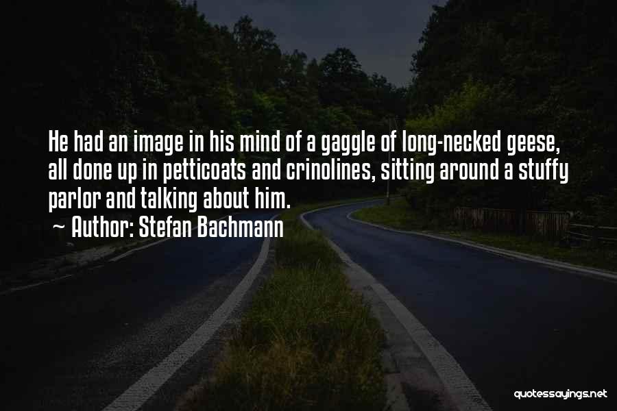 Stefan Bachmann Quotes: He Had An Image In His Mind Of A Gaggle Of Long-necked Geese, All Done Up In Petticoats And Crinolines,