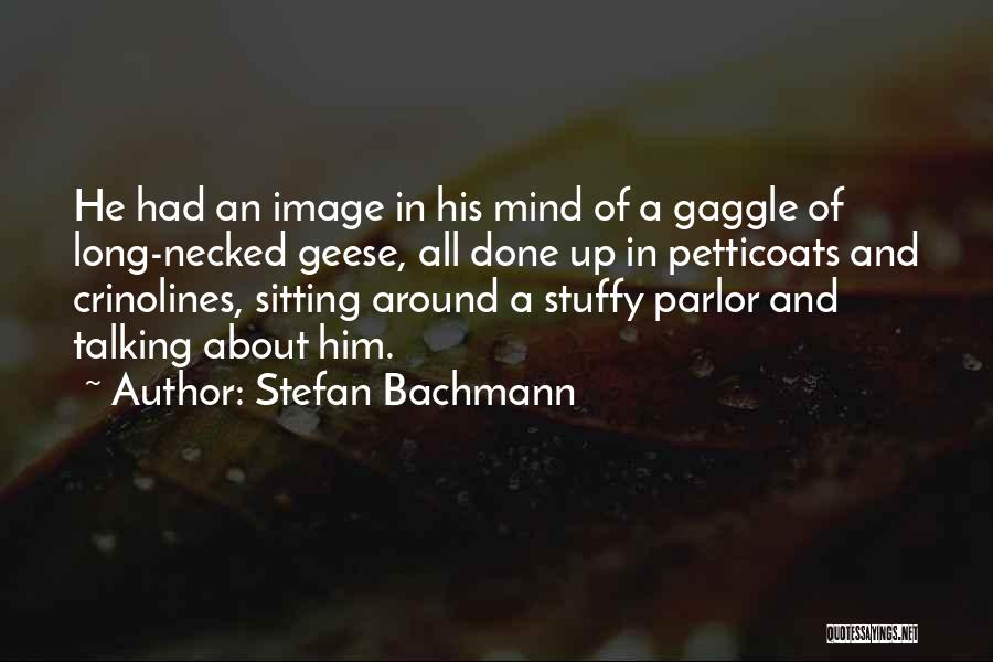 Stefan Bachmann Quotes: He Had An Image In His Mind Of A Gaggle Of Long-necked Geese, All Done Up In Petticoats And Crinolines,