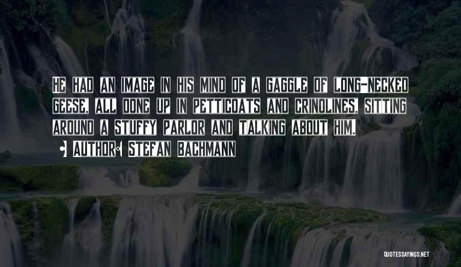 Stefan Bachmann Quotes: He Had An Image In His Mind Of A Gaggle Of Long-necked Geese, All Done Up In Petticoats And Crinolines,