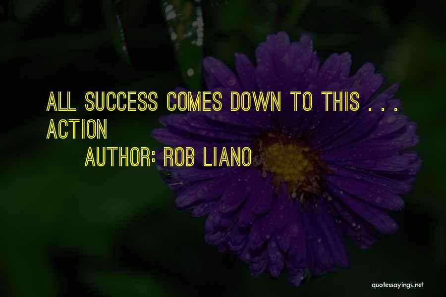 Rob Liano Quotes: All Success Comes Down To This . . . Action