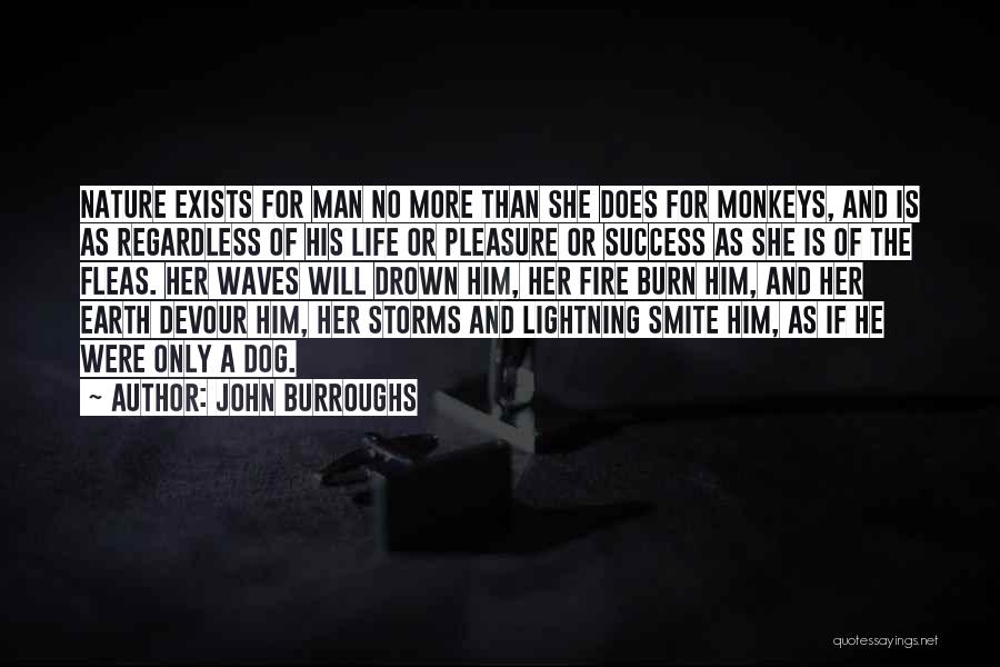 John Burroughs Quotes: Nature Exists For Man No More Than She Does For Monkeys, And Is As Regardless Of His Life Or Pleasure