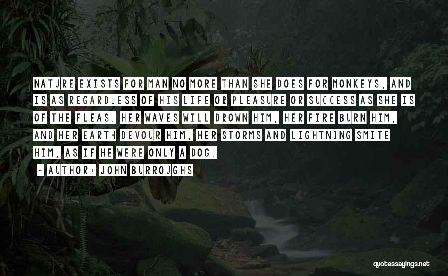 John Burroughs Quotes: Nature Exists For Man No More Than She Does For Monkeys, And Is As Regardless Of His Life Or Pleasure